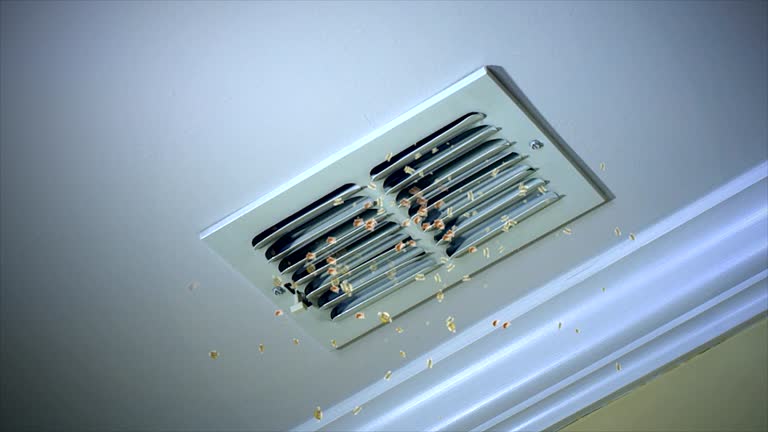 Best Air Duct Cleaning Near Me  in Rocklin, CA