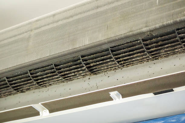Best Commercial Air Duct Cleaning  in Rocklin, CA